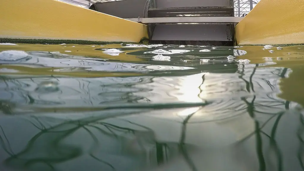 Wasser-mit-Spirulina-Blaualgen-wird-von-grossen-Schaufelraedern-in-einem-der-100-Meter-langen-Wasserbecken-einer-Algenfarm-bewegt