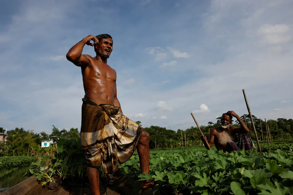 2022-10-19T230132Z-1798108027-RC2MXV9T3WLJ-RTRMADP-3-CLIMATE-CHANGE-BANGLADESH-FARMS