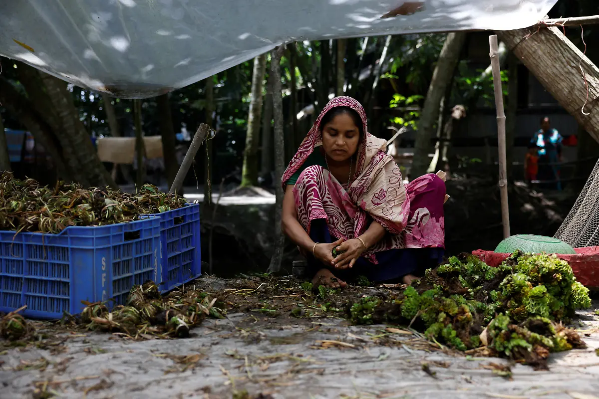 2022-10-19T230139Z-1183440777-RC2IXV9EMIXF-RTRMADP-3-CLIMATE-CHANGE-BANGLADESH-FARMS