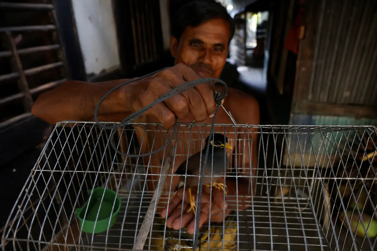 2022-10-19T230135Z-7322818-RC28YV9TERH9-RTRMADP-3-CLIMATE-CHANGE-BANGLADESH-FARMS