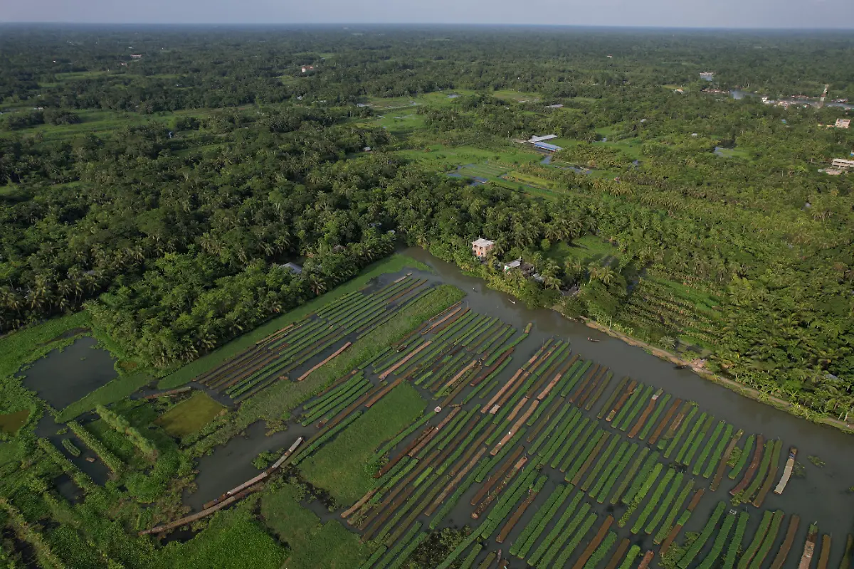 2022-10-19T230159Z-1477402323-RC2TXV938LJT-RTRMADP-3-CLIMATE-CHANGE-BANGLADESH-FARMS