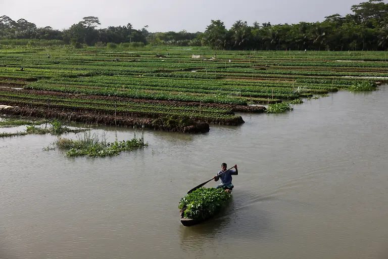 2022-10-19T230146Z-367542901-RC2ZWV9TTIEF-RTRMADP-3-CLIMATE-CHANGE-BANGLADESH-FARMS