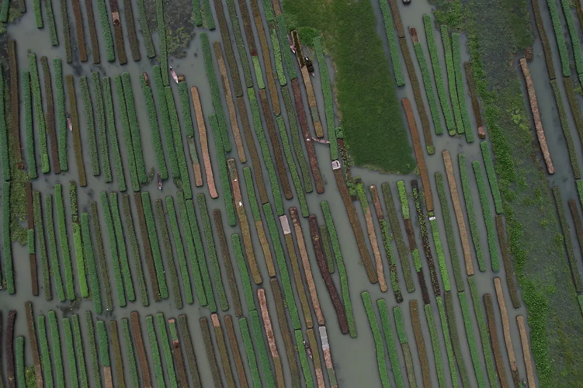 2022-10-19T230156Z-113530708-RC24XV9PEOHY-RTRMADP-3-CLIMATE-CHANGE-BANGLADESH-FARMS