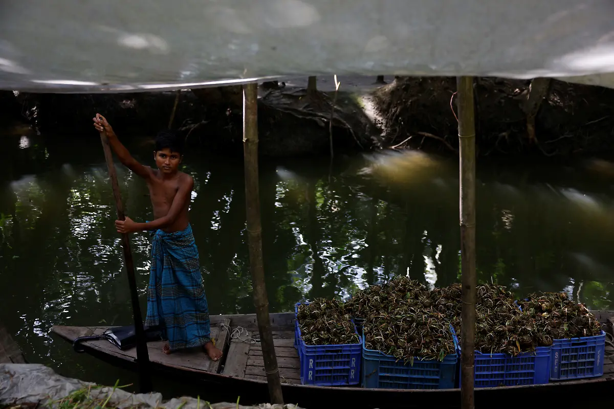 2022-10-19T230137Z-2047243303-RC2KXV9KILAH-RTRMADP-3-CLIMATE-CHANGE-BANGLADESH-FARMS