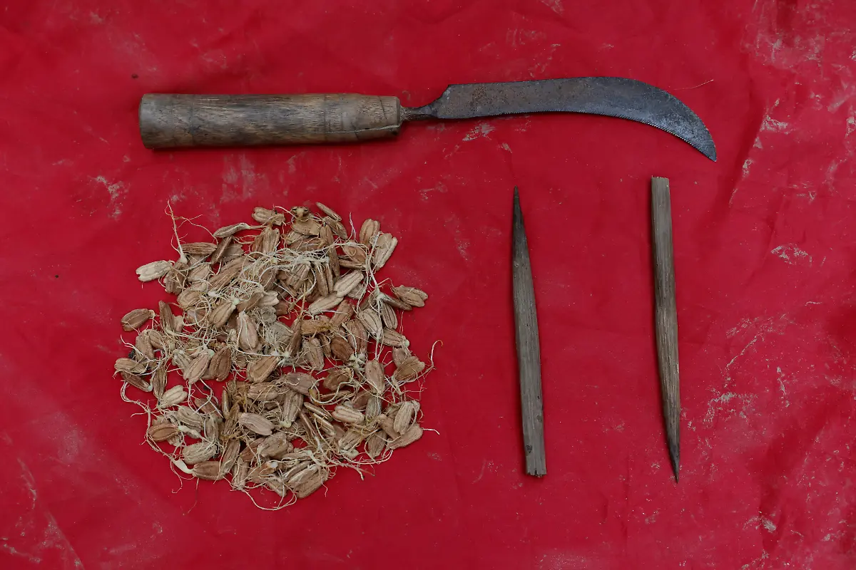 2022-10-19T230055Z-370647079-RC2YYV96Z36D-RTRMADP-3-CLIMATE-CHANGE-BANGLADESH-FARMS