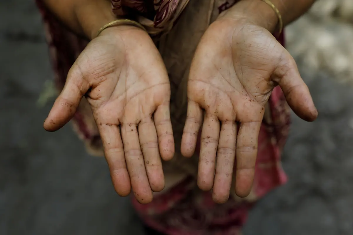 Murshida-Begum-Ha-nde