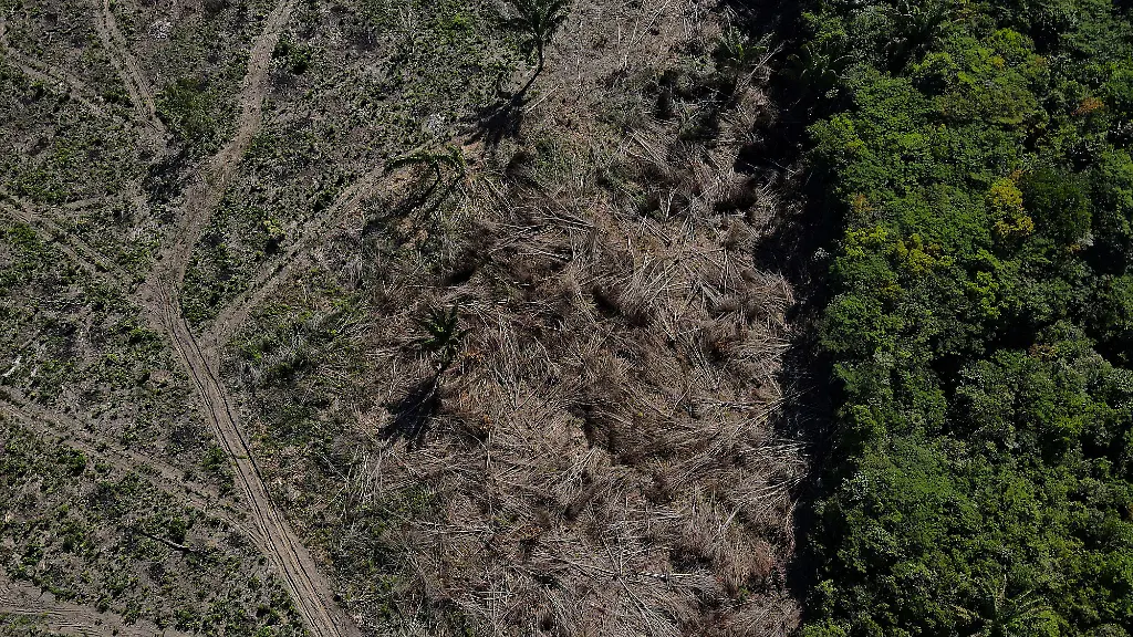 1d9705bb3c59fea03a7640a9e53ea864