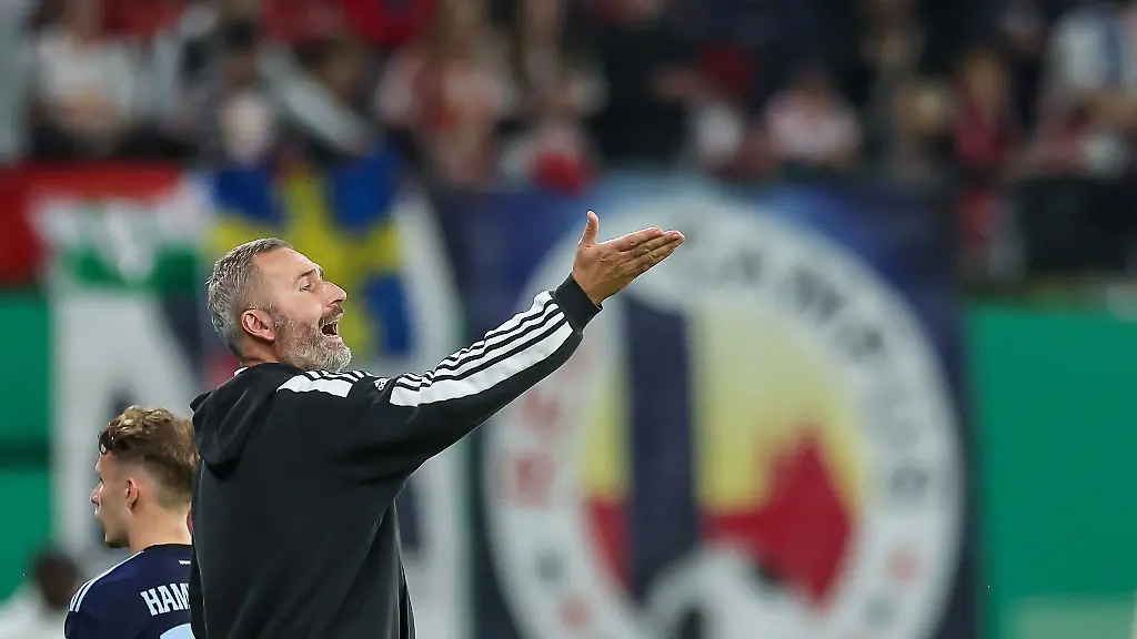 Hamburgs-Trainer-Tim-Walter-gestikuliert
