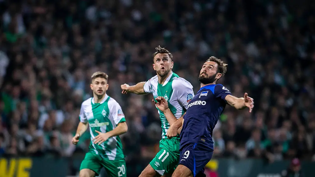 13f3bd8bfbb8ffddad8eef30da47dd28