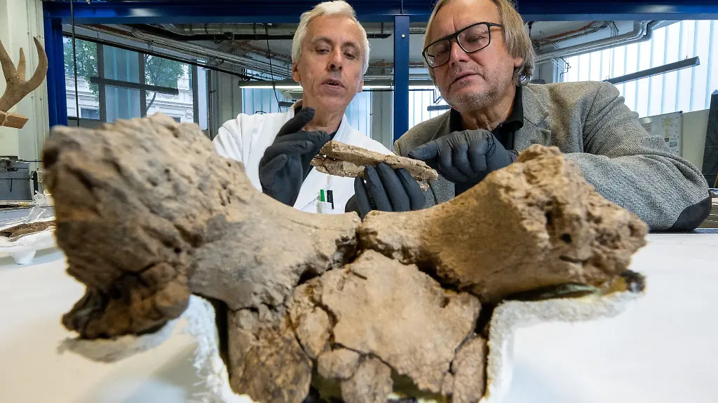 Restaurator-Heiko-Breuer-l-und-Landesarchaeologe-Harald-Meller-begutachten-in-der-Werkstatt-Fragmente-einer-Maske-aus-Hirschgeweih