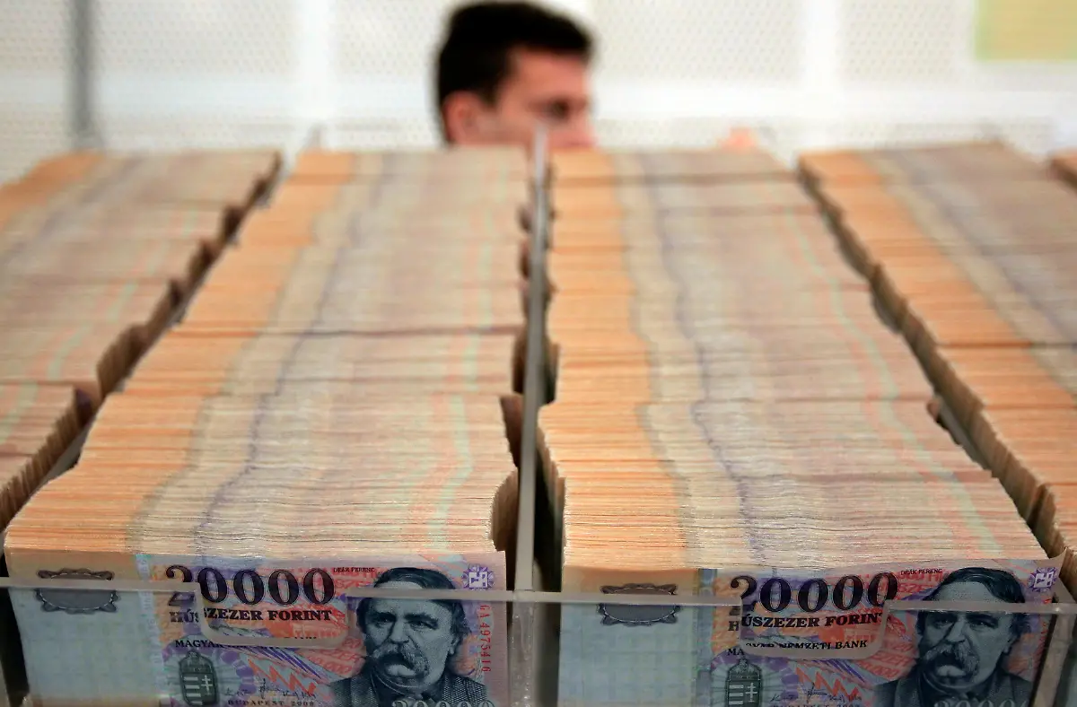 2012-02-07T120000Z-1110458906-GM1E82801HD01-RTRMADP-3-HUNGARY