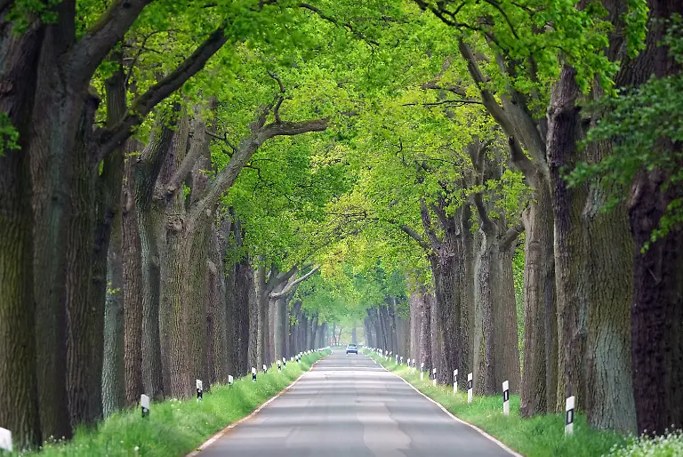 49122f90a4766d80d55ebcb8ef1da587