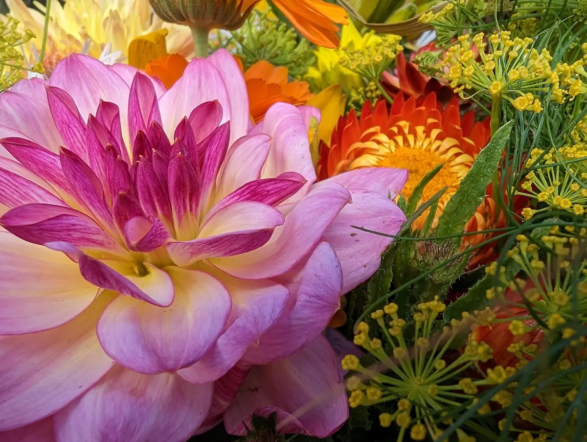 PXL-20221008-135931055