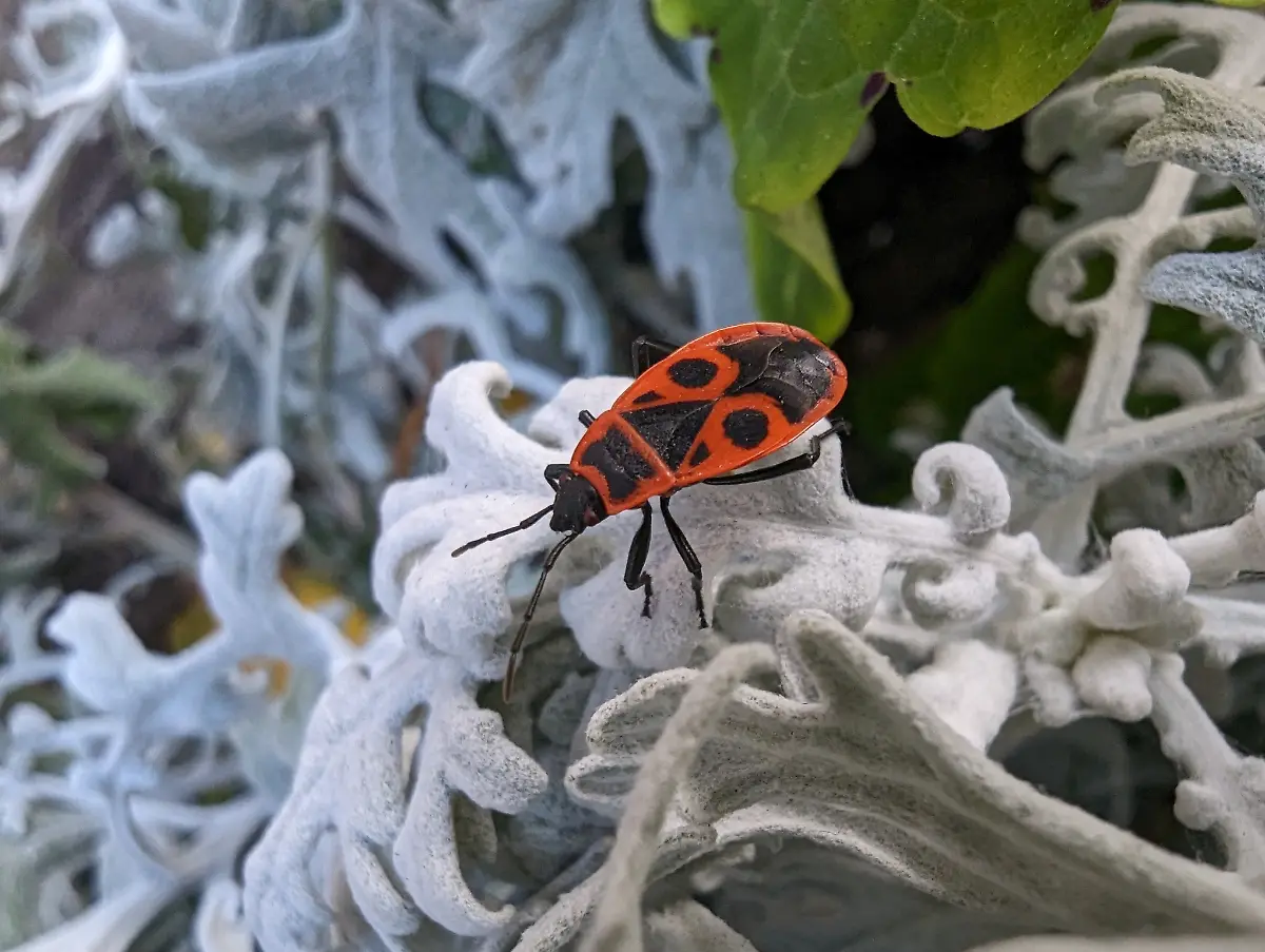 PXL-20221009-131926435