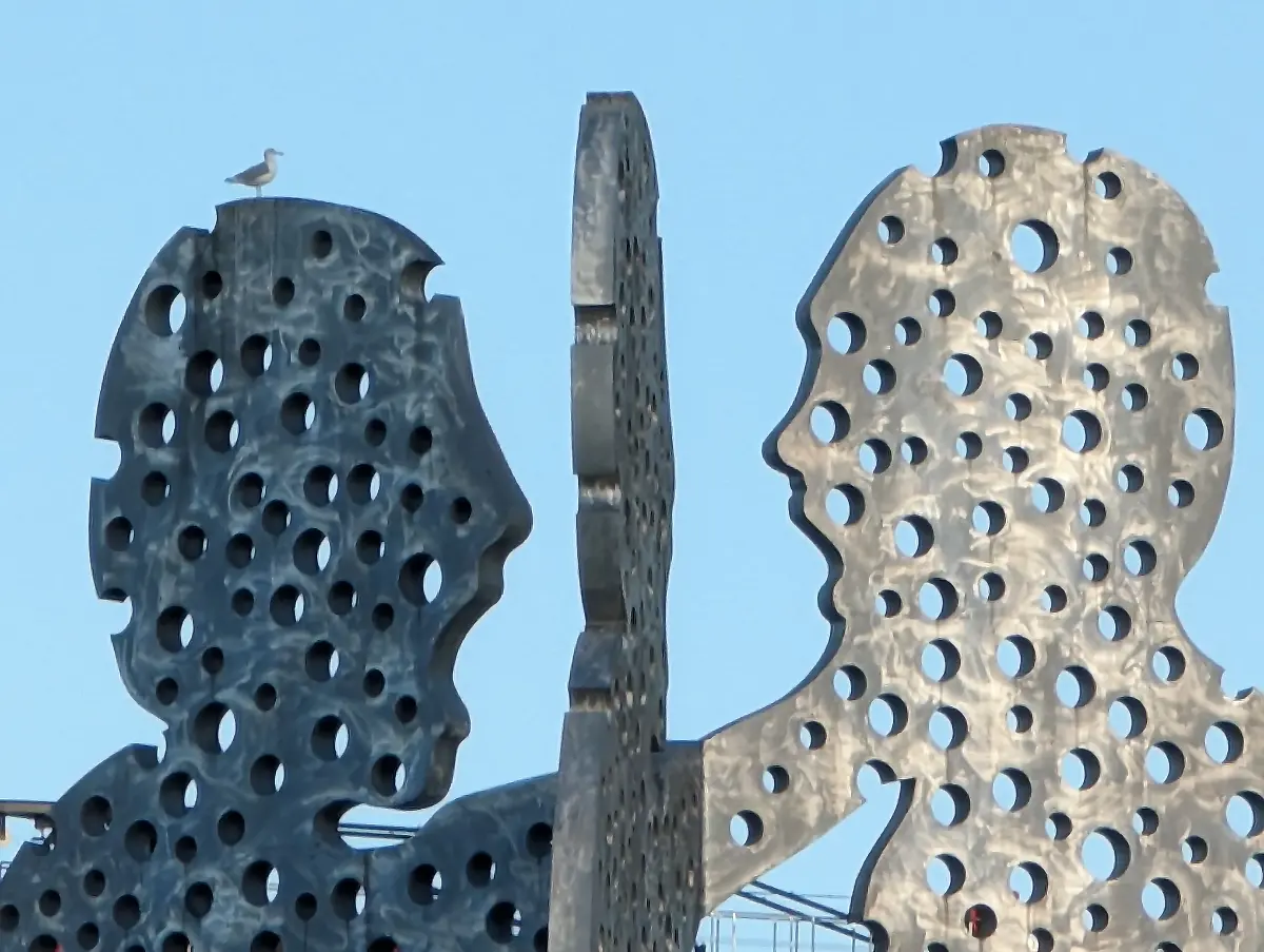 PXL-20221009-151042451