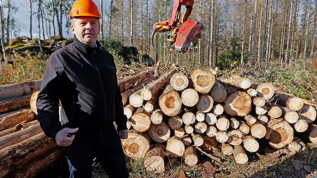 Sven-Schulze-steht-in-einem-Waldstueck-in-Schierke-vor-einem-Holzstapel