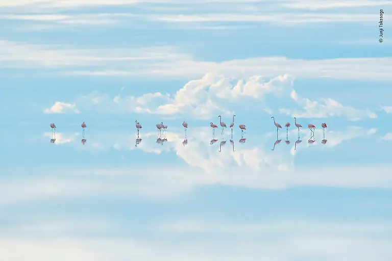 Nicht-weiterverwenden