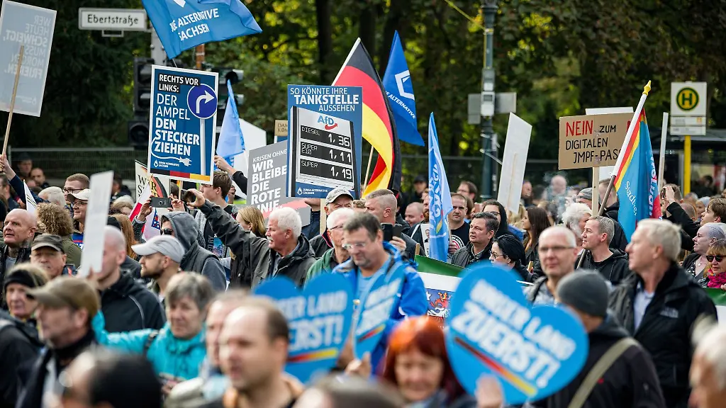 Demonstranten-nehmen-an-einer-Demonstration-der-AfD-teil