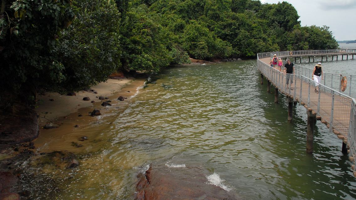 Stelzenweg übers Wasser: Das Naturschutzgebiet Chek Jawa Wetlands können Singapur-Besucher aus verschiedenen Perspektiven erleben.