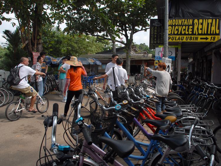 Autofreie Zone: Auf Pulau Ubin sind Fahrräder die wichtigsten Fortbewegungsmittel. Entlang der kleinen Hauptstraße gibt es mehrere Mountainbike-Verleiher.