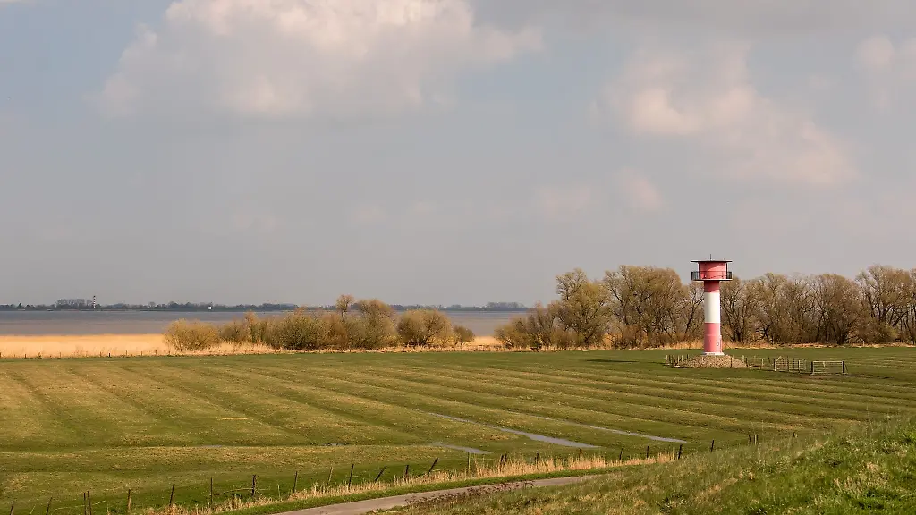 Blick-auf-das-Deichvorland-und-die-Elbe