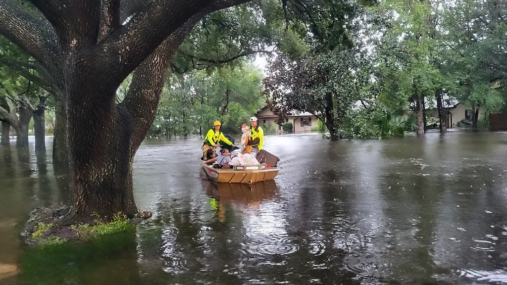 99e0a6279fd358f19ed8d756800bd7b6