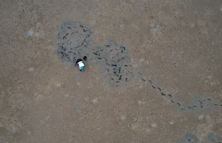 2022-09-20T130024Z-378743324-RC2X2W9EU95Z-RTRMADP-3-BRAZIL-ELECTION-RACE