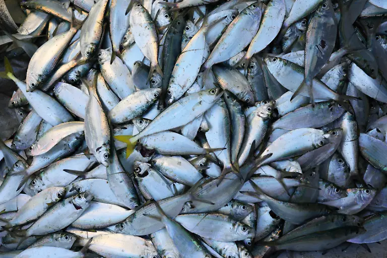 2022-09-20T130042Z-846317808-RC292W9TJ4CF-RTRMADP-3-BRAZIL-ELECTION-RACE