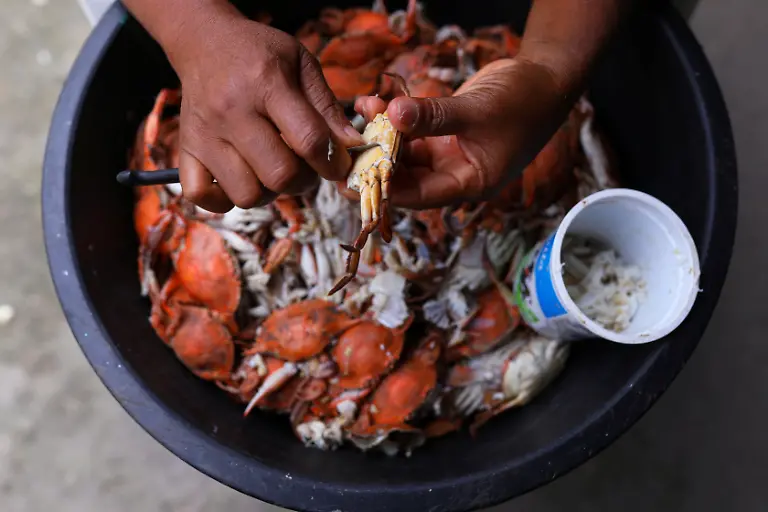 2022-09-20T130055Z-969813589-RC21ZV9R8851-RTRMADP-3-BRAZIL-ELECTION-RACE