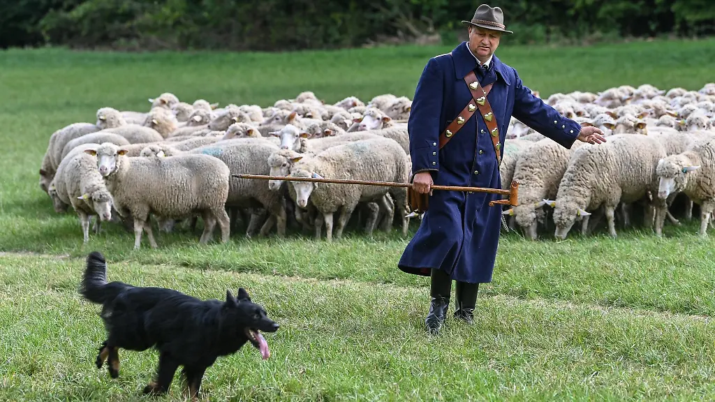 Schaefermeister-Mario-Wehlitz-aus-Brambach-bei-seiner-Pruefung