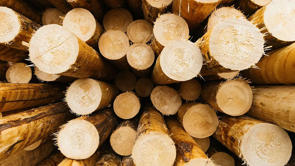Entrindete-Baumstaemme-liegen-auf-dem-Rundholzplatz-auf-dem-Gelaende-eines-Saegewerks