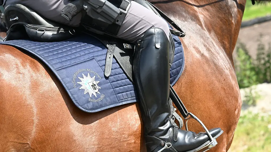 Polizeireiter-reitet-ein-Pferd-auf-einer-Wiese