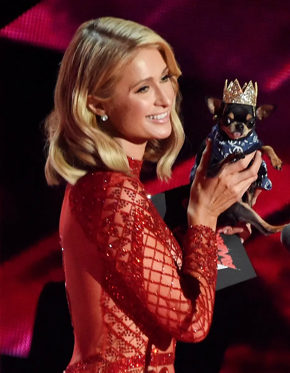 9ec959082376e9060f416d54e5a14ca3