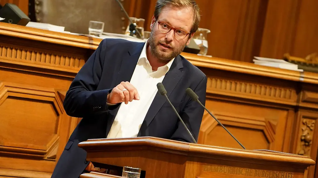 Anjes-Tjarks-Buendnis-90-Die-Gruenen-spricht