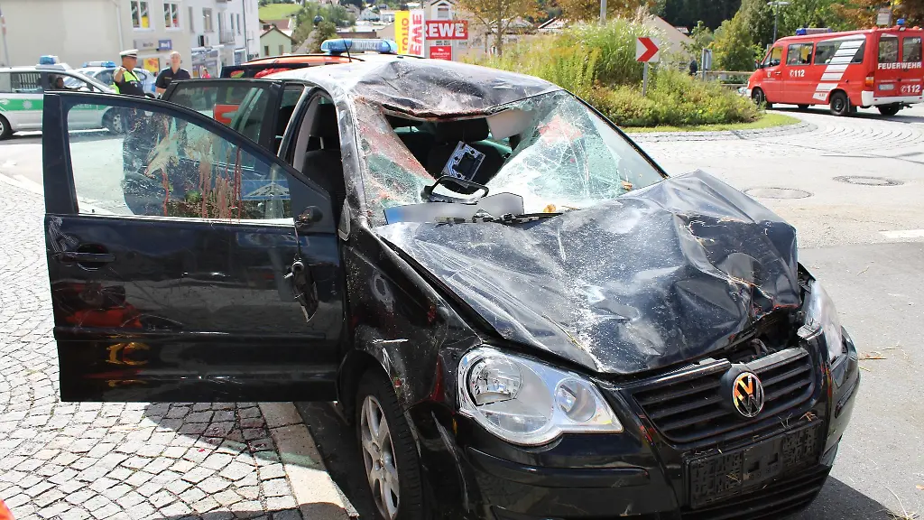 Ein-Pferd-ist-bei-einem-Unfall-auf-dieses-Auto-gesprungen-und-hat-dabei-zwei-Personen-verletzt