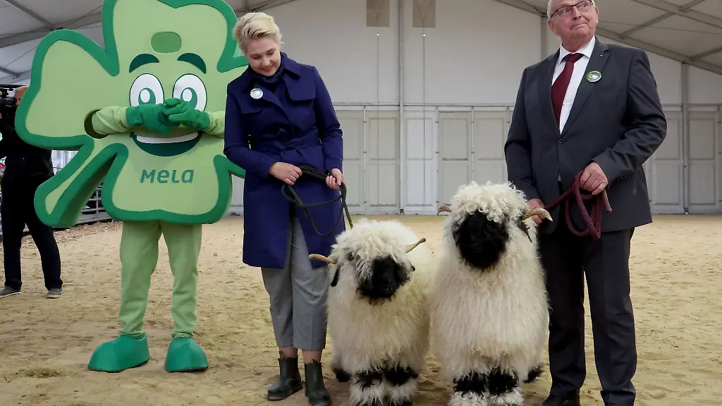 Bei-einem-Rundgang-auf-der-MeLa-zeigen-Ministerpraesidentin-Manuela-Schwesig-l-r-und-Landwirtschaftsminister-Till-Backhaus-Walliser-Schwarznasenschafe