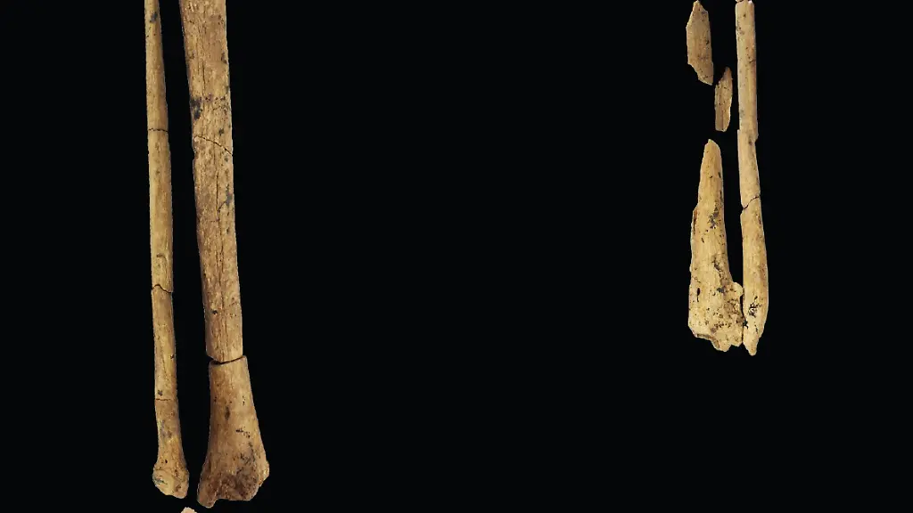 urn-binary-dpa-com-20090101-220906-99-649530-FILED