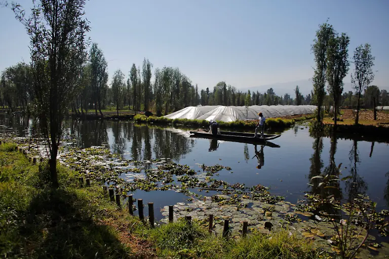 2014-02-22T120000Z-887682946-GM1EA2M0QBB01-RTRMADP-3-MEXICO