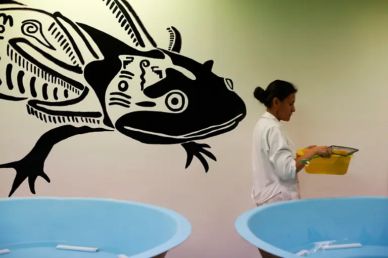 2014-02-22T120000Z-1131926323-GM1EA2M0QCY01-RTRMADP-3-MEXICO