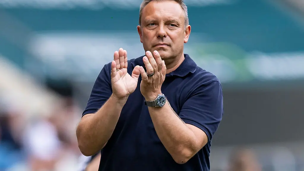 Hoffenheims-Trainer-Andre-Breitenreiter-gestikuliert-an-der-Seitenlinie