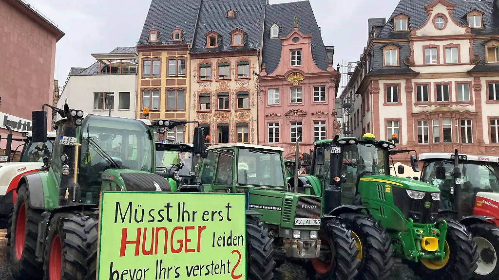 Rheinhessische-Bauern-haben-am-Mittwoch-auf-dem-Markt-vor-dem-Mainzer-Dom-demonstriert