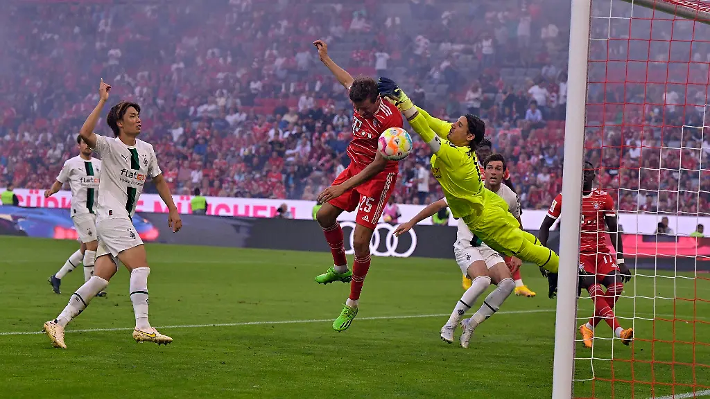 3516549582757f41cab1616767019933