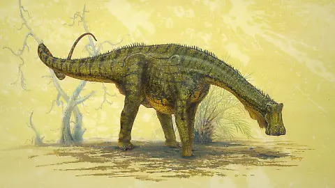 Ungewhnlicher Pflanzenfresser: Dinosaurier mit 500 Zhnen - ntv.de