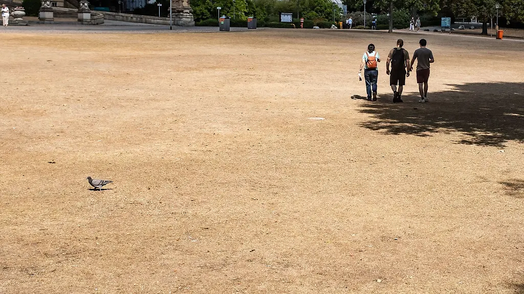 Passantinnen-Passanten-und-eine-Taube-sind-auf-dem-verdorrten-Rasen-am-Warmen-Damm-unterwegs