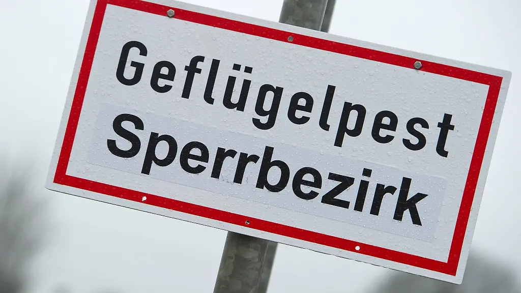 Ein-Schild-mit-der-Aufschrift-Gefluegelpest-Sperrbezirk