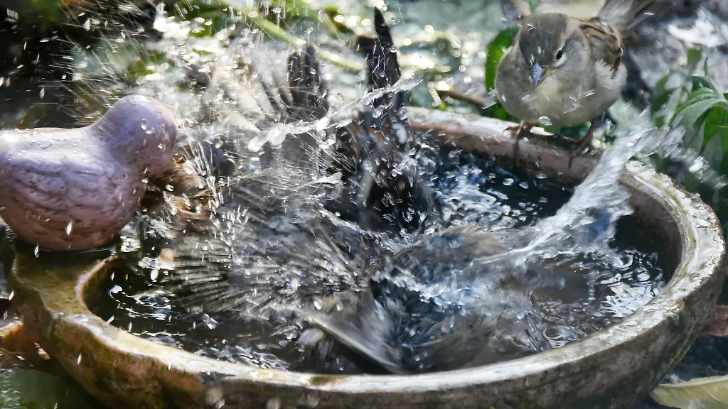 dad28049d7b1ade94068cd6ff1994ab9