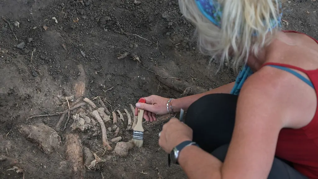 Eine-Archaeologin-legt-die-Knochenreste-eines-Hingerichteten-in-Quedlinburg-frei