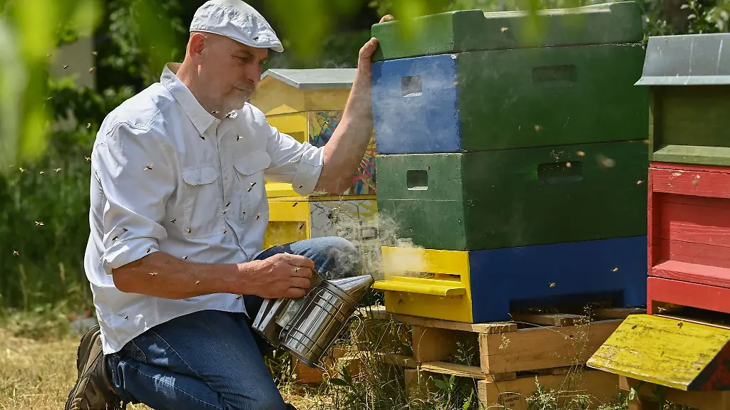 Holger-Ackermann-Imker-und-Sprecher-des-Landes-Imkerverbands-Brandenburg-arbeitet-im-Garten