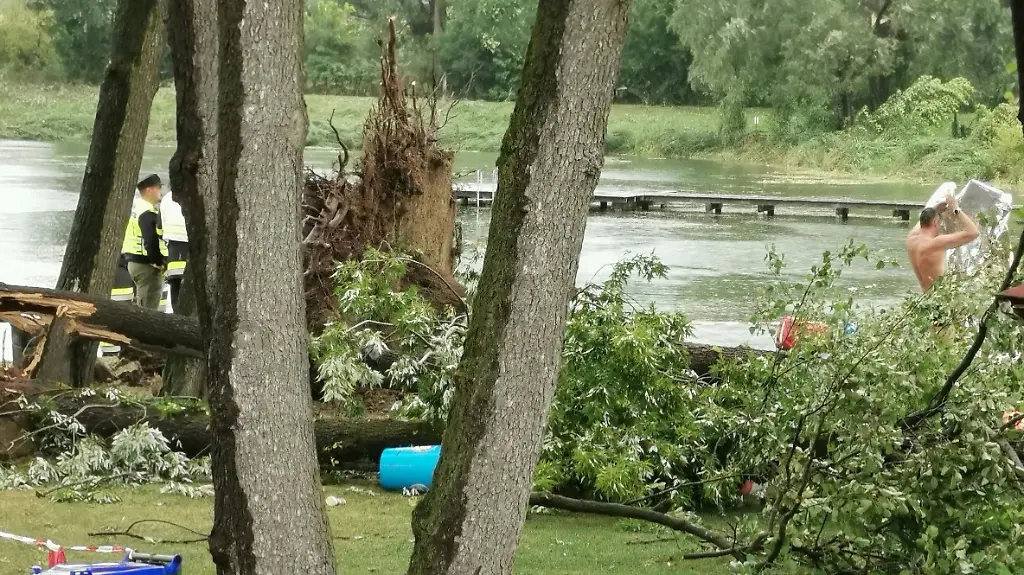 7c679b728d8c9028d992d7cdb87e72cf