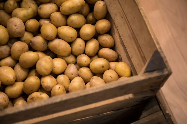 Kartoffeln-liegen-in-einer-Kiste